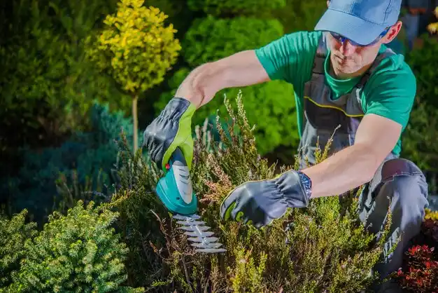 landscaping services North Sea